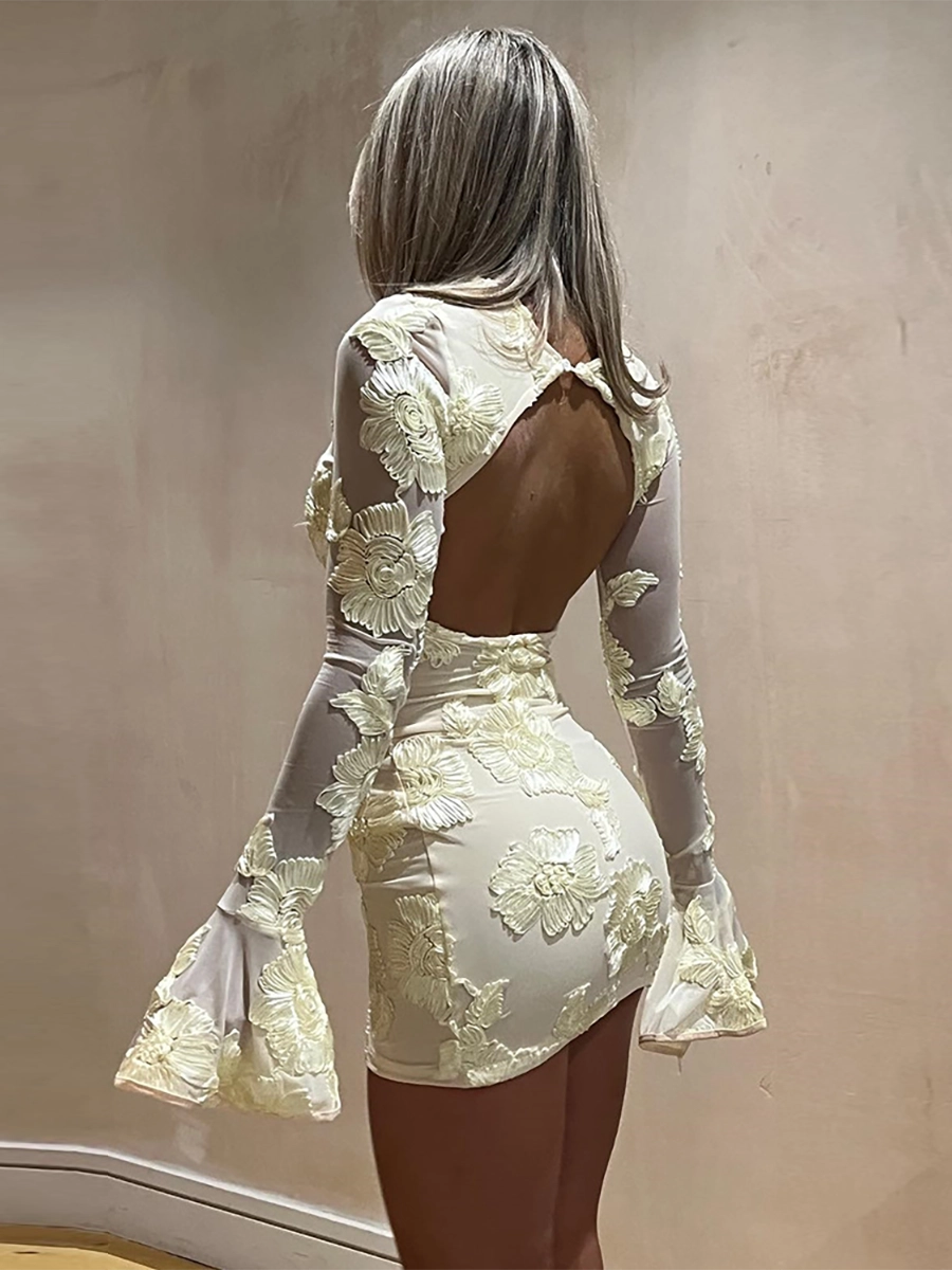 Mini-robe brodée de fleurs avec manches transparentes