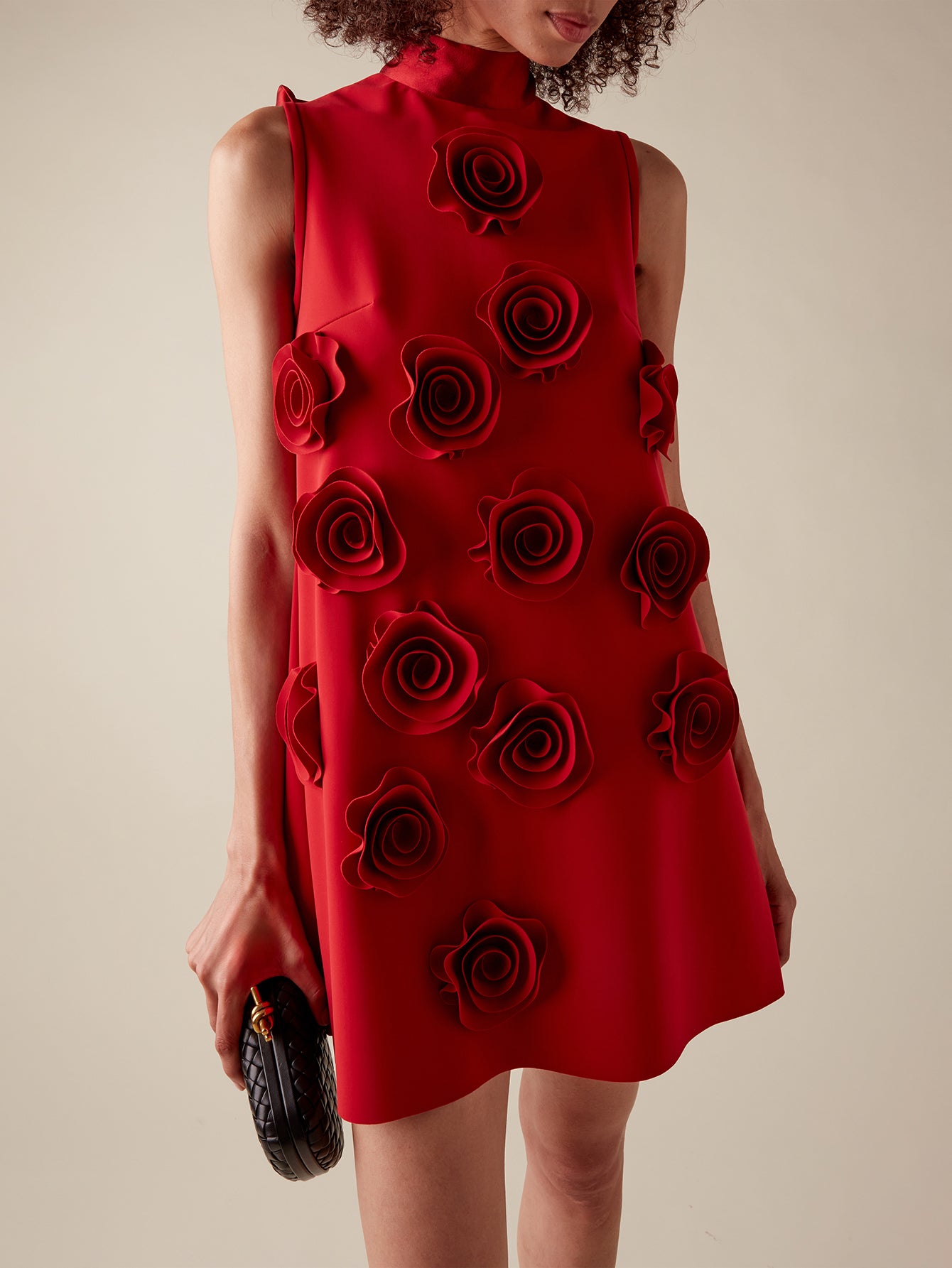 Rose Applique Mini Dress